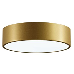 Kúpelňové stropné svietidlo Temar CLEO 300 IP54 matná mosadz