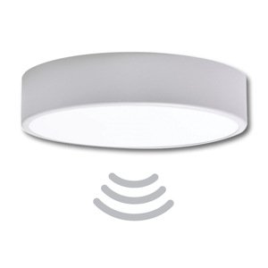 Stropné svietidlo do kúpelně s čidlom Temar CLEO 300 strieborná mat IP54