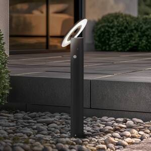Arcchio LED svetlo na chodník Tovio, antracit,, Ø 24cm, senzor