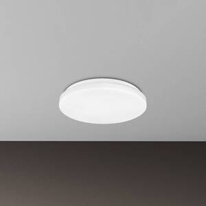 Stropné LED svetlo Elipso, biele, plast, Ø 29 cm, 4000K