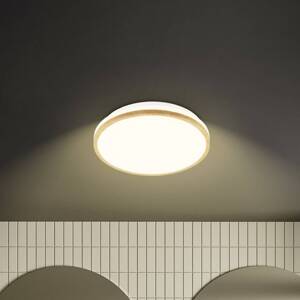 Stropné LED svetlo Acorus, Ø 28 cm, biela/farba dreva, IP44