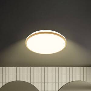 Stropné LED svetlo Acorus, Ø 33 cm, biela/farba dreva, IP44